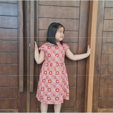 (3-8 Tahun) QZ006 Dress Anak Perempuan/PRINTED DRESS/100% KATUN PREMIUM QUALITY（3）