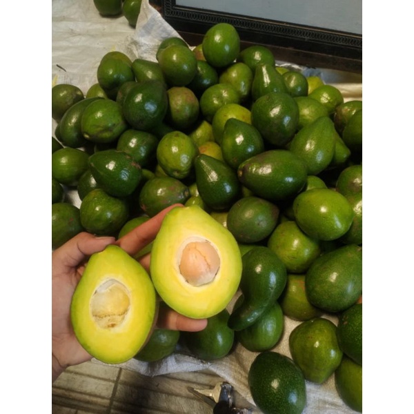 

alpukat mentega