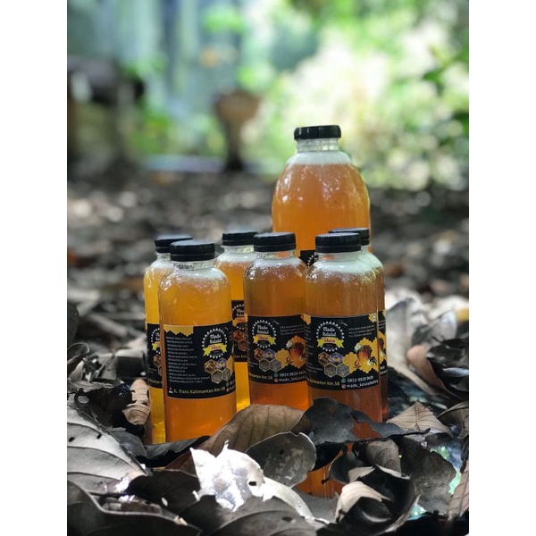 

Madu kelulut/Klenceng Itama