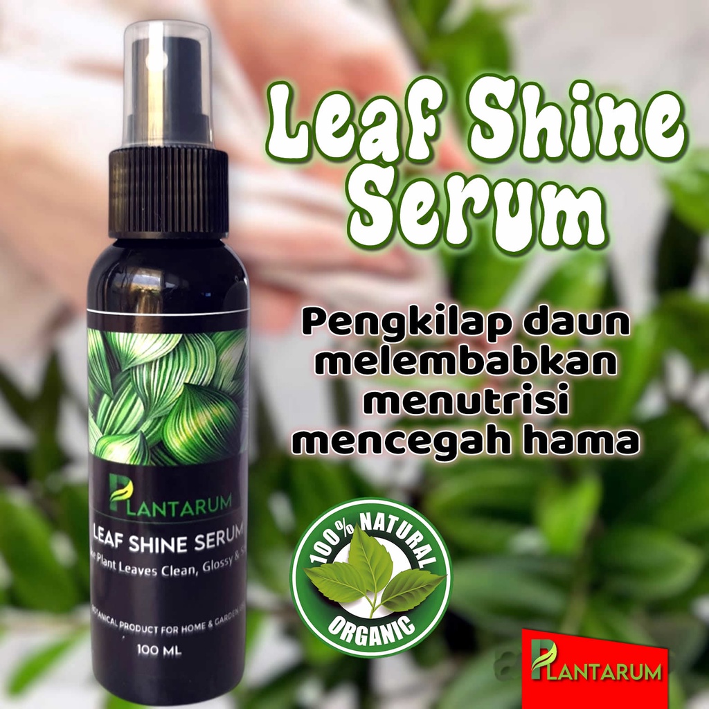 Spray Pengkilap Daun | Leaf Shine Serum Natural Glossy Untuk Segala Jenis Tanaman