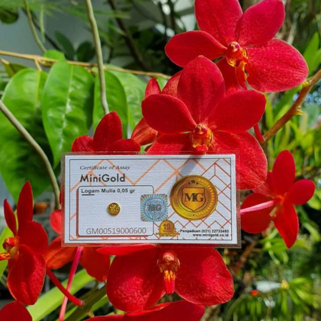 Logam mulia mini gold 0,05 gram