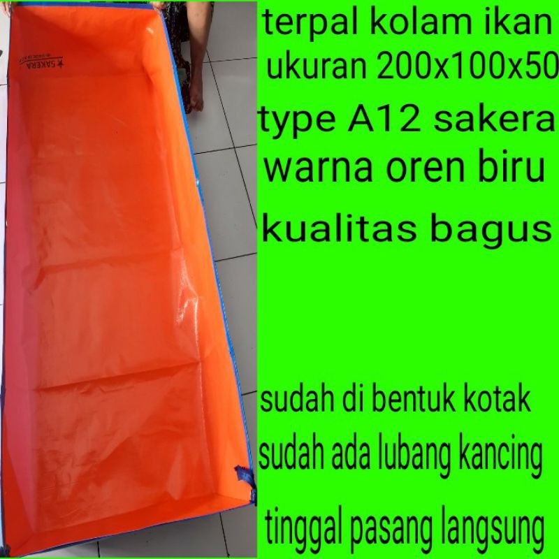 kolam ikan terpal bagus free pembuangan air ukuran 200x100x50 type A12  warna oren dan biru sangat c