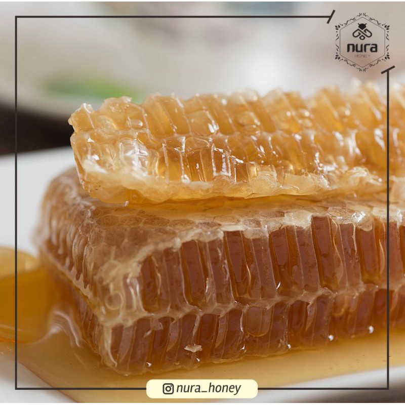 

NG BEST SELLER! Sarang Madu Nura Melifera 250gr - 300gr / Madu Asli Murni Mentah/ nurahoney / Nura