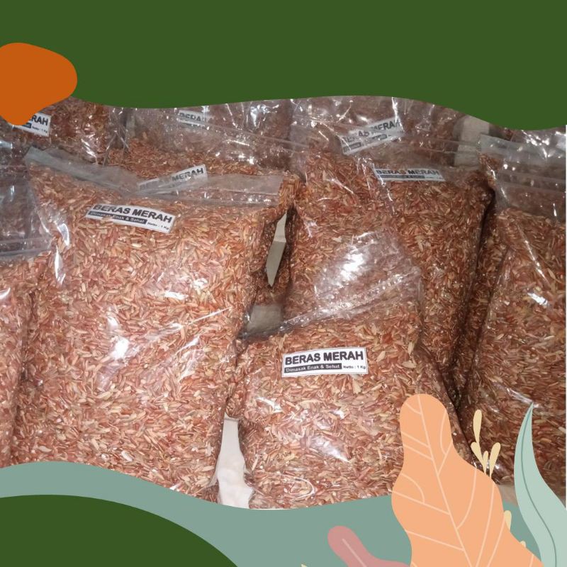 

Beras Merah Untuk Pakan Ternak Anda