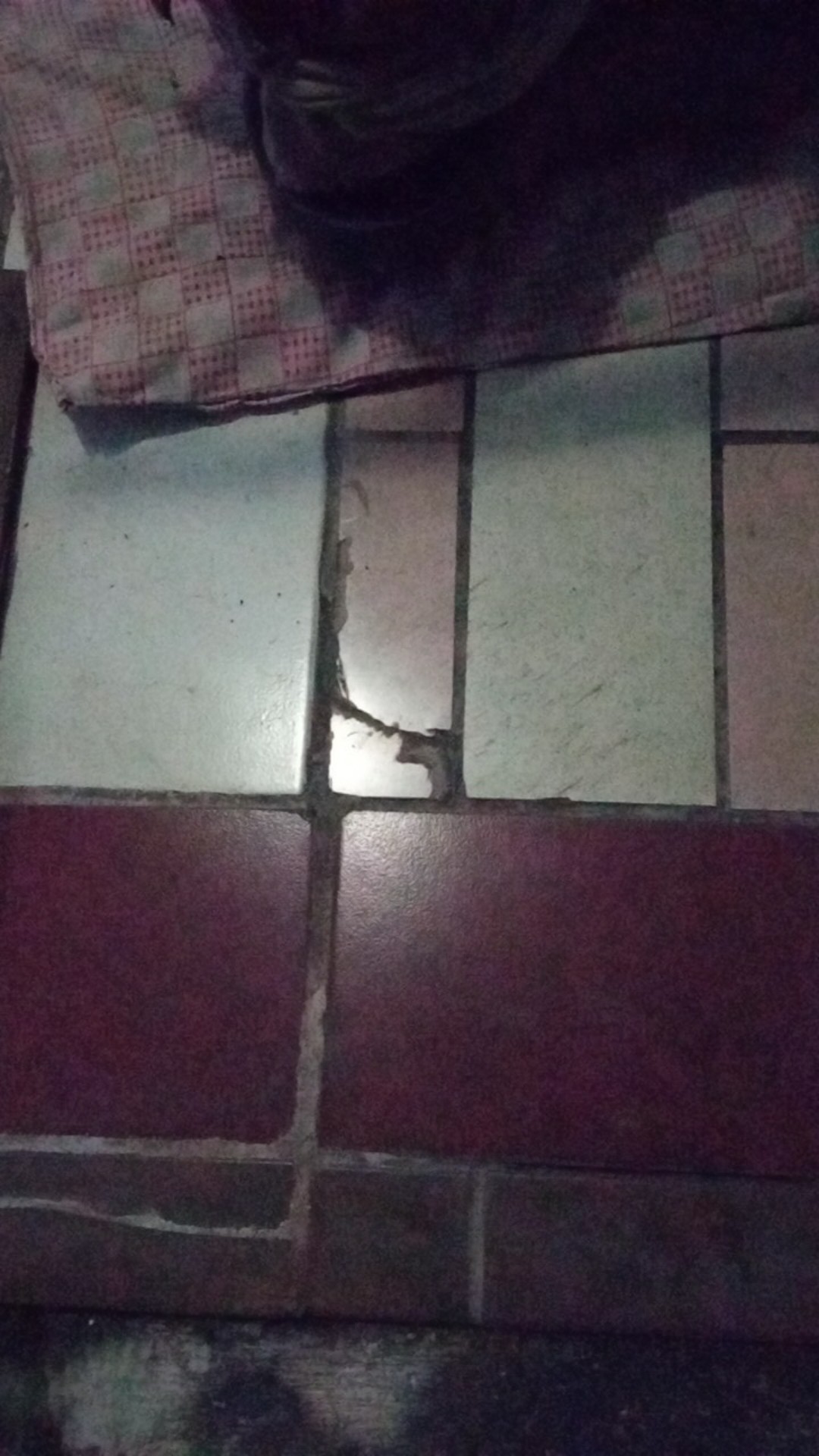 Kenmaster Sikat Kawat Mini Set 3 Pc Murah