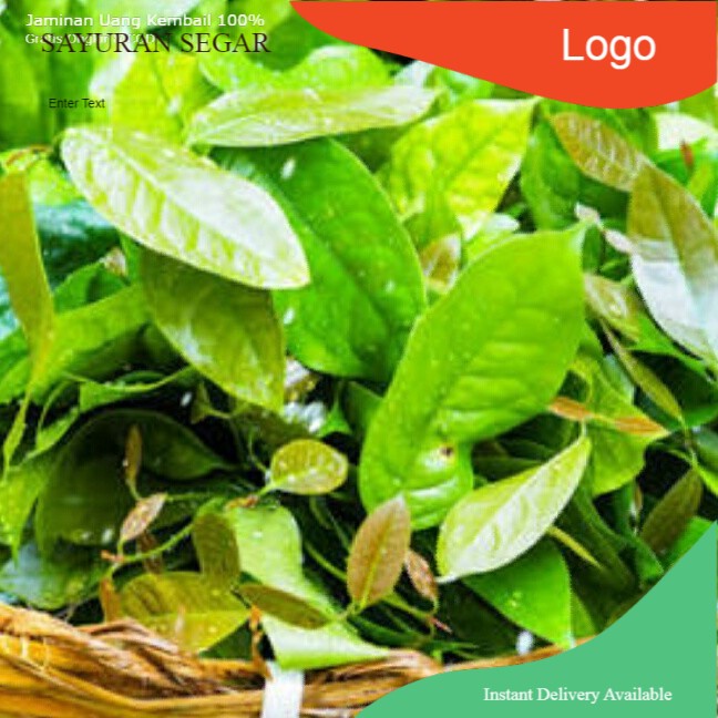 

Daun melinjo 50gr