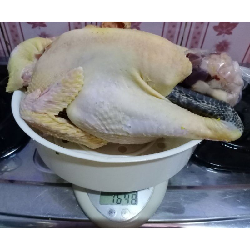 

Daging ayam kampung