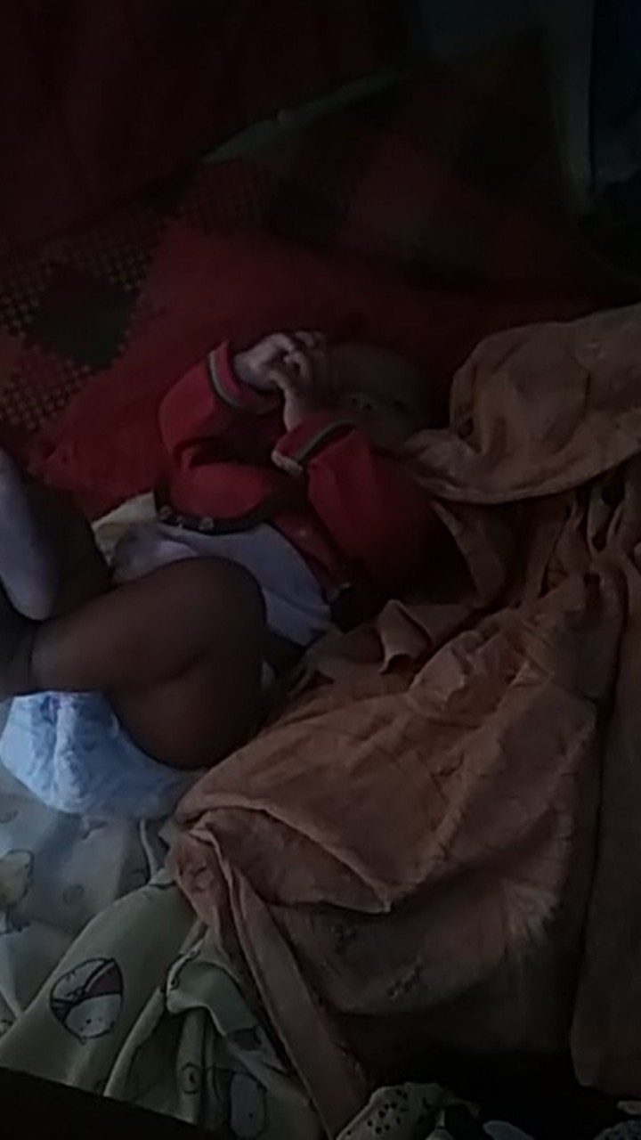 Bswart Batik Hrb026 Kenongo Hem Pendek Padi Pekalongan M L Xl Xxl Batik Pria Murah Modern Grosir