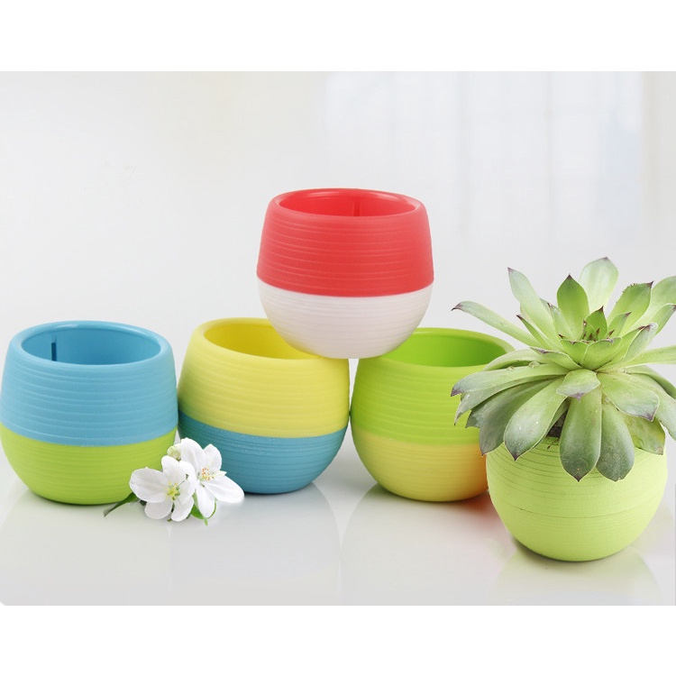 [5pcs] Mini Pot Bunga Hias Kaktus Tanaman / Mini Pot Bunga Hias Kaktus Tanaman 5 PCS Pot Bunga Mini Aesthetic Murah / Pot Bunga Hiasan Rumah Sudut Pot Hiasan Ruang Tamu Pojok Pot Bunga Bulat Bola / Vas Bunga Kaktus Mini Plastik Vas Bunga Tanaman Hias