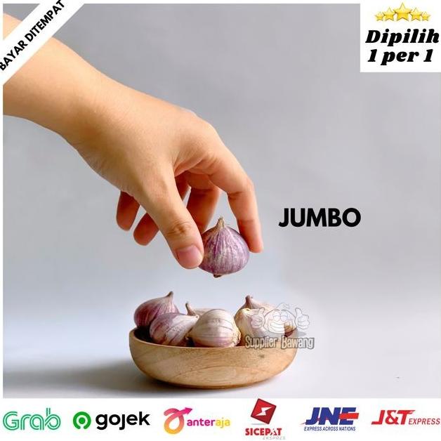 

Bawang Putih Tunggal / Bawang Lanang Super Ukuran Besar Jumbo 500gr