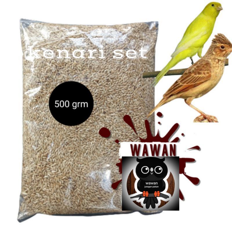 pakan burung kenari, kenari set, CANARY SEED