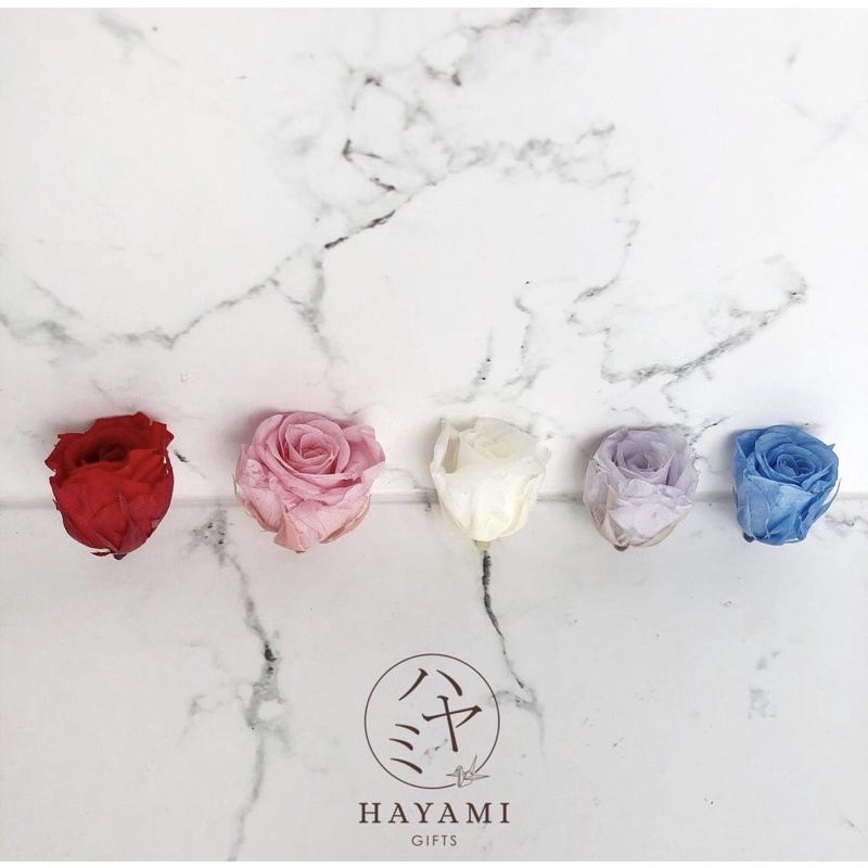 Additional Preserved Rose