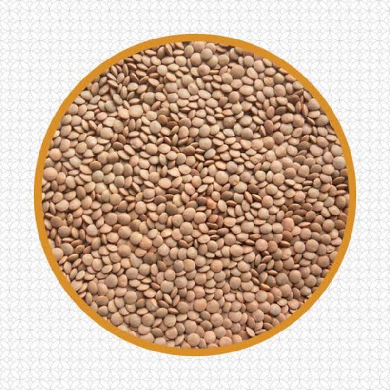 

Natural Brown Lentils kacang Lentil coklat Dal masor 1kg