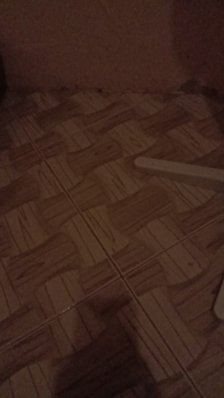 Biji Benih Buah Bidara Arab 5 Biji