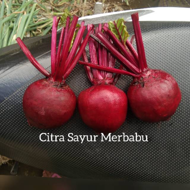 

GROSIR Beet root per 5 kg