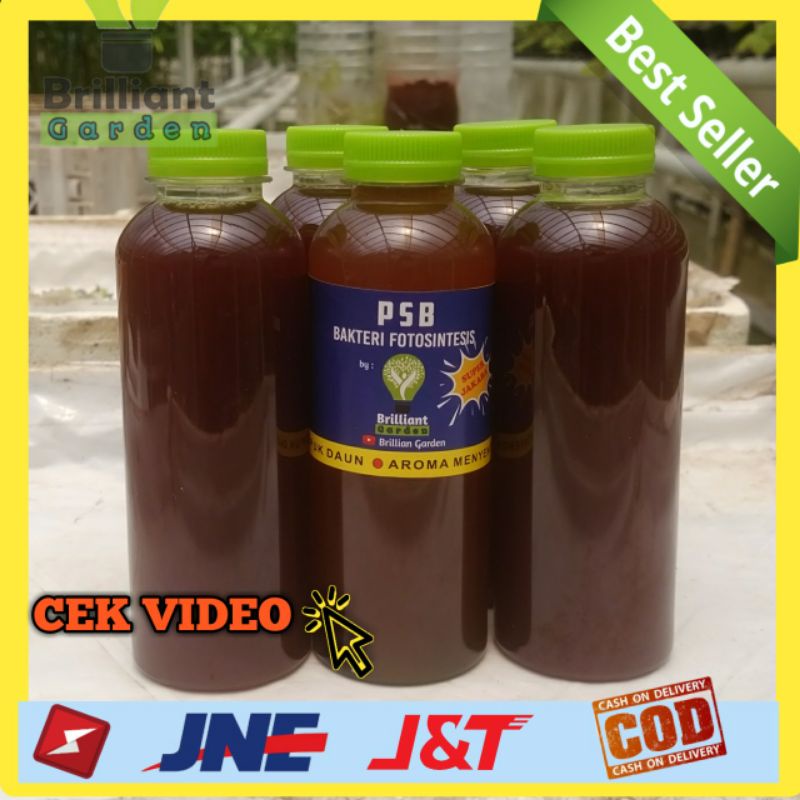PSB Super Jakaba Bakteri Fotosintesis - Pupuk Organik Cair Untuk Daun 250ml
