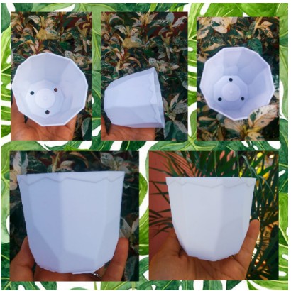 Pot Permata 8CM Putih By Garden Of Love Pot 8 Cm Putih Pot Plastik Kaktus Mini Lucu Bkn Pot Tawon 10