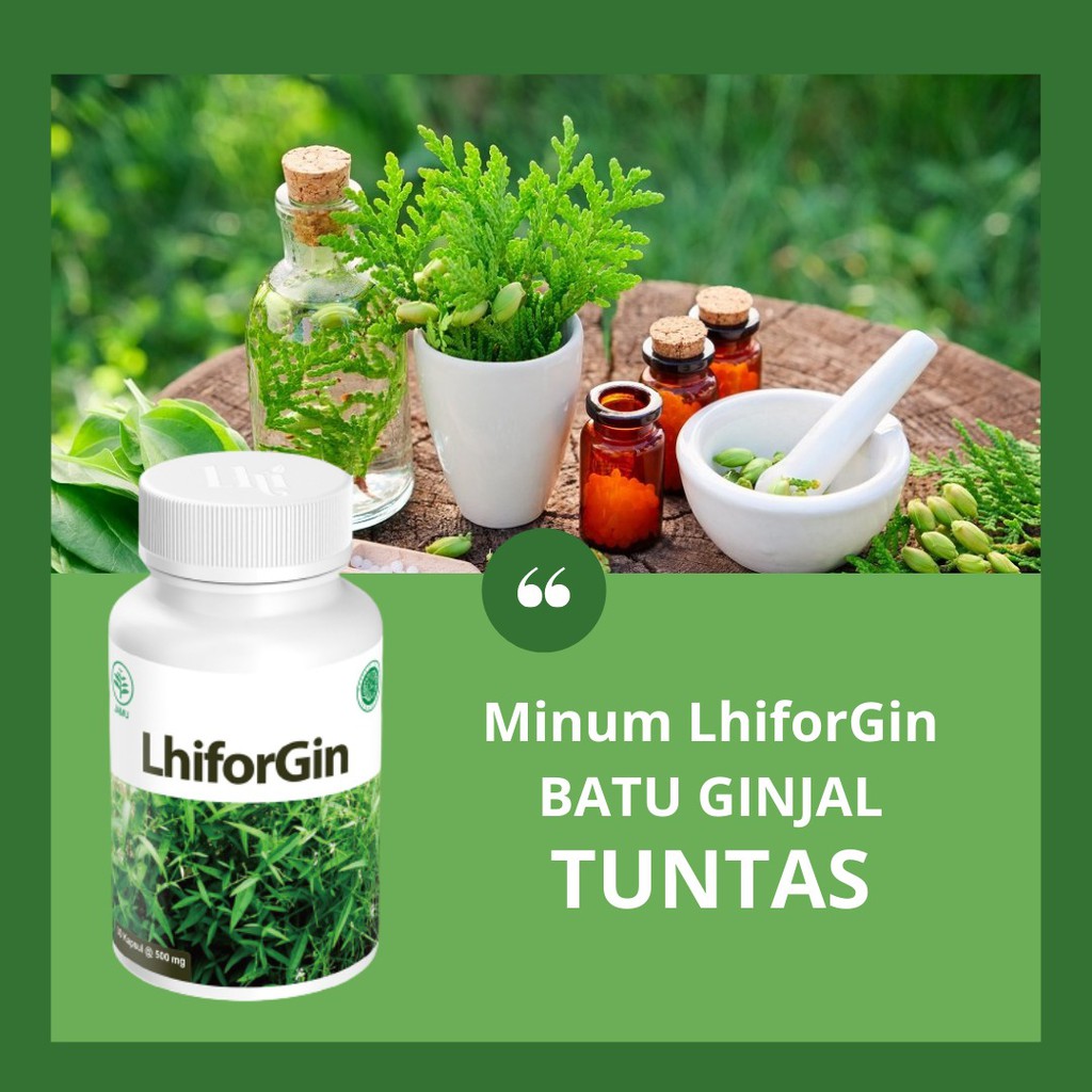 LHIFORGIN ORIGINAL Membantu Meluruhkan Batu Ginjal dan Saluran Kemih Tanpa Operasi