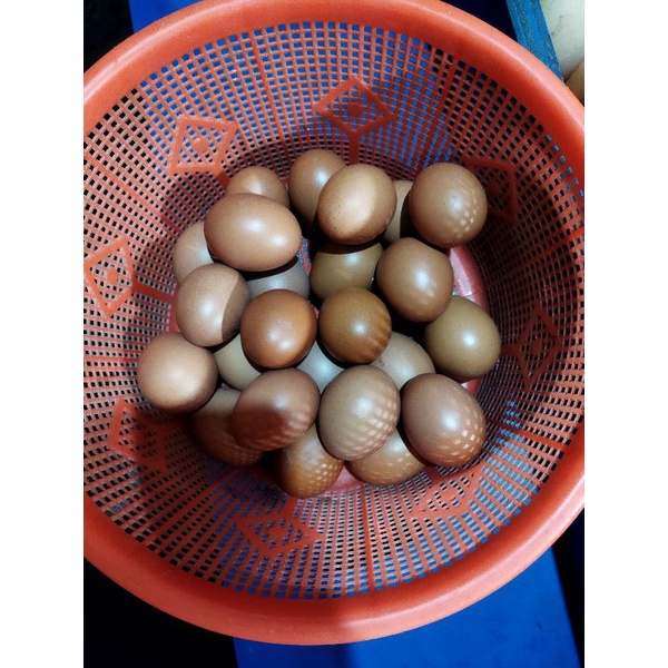 

Telor ayam negri suka bumi 1kg isi 20 butir