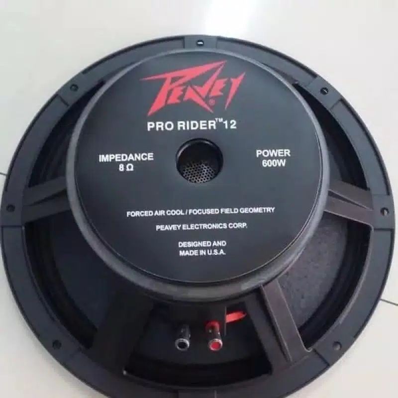Component speaker peavey 12 pro rider 12 inch 600watt