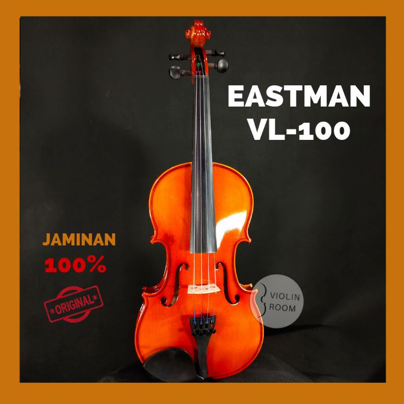 BIOLA EASTMAN VL-100 BIOLA AKUSTIK IMPOR