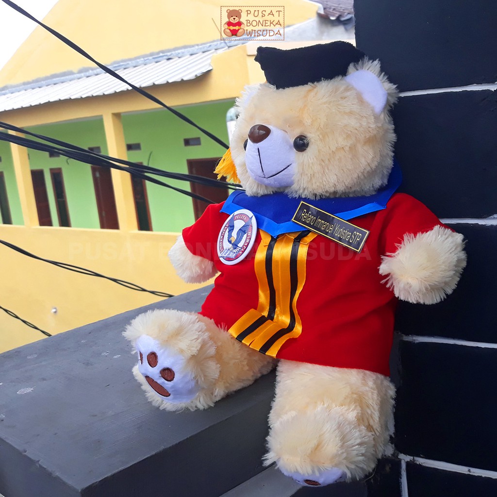 Boneka Teddy Bear Medium Wisuda Universitas Pelita Harapan UPH Kado Wisuda Anak UPH Hadiah Wisuda