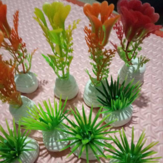 Tanaman Hias Akuarium Dari Plastik Shopee Indonesia Tanaman Hias Akuarium Dari Plastik Shopee Indonesia