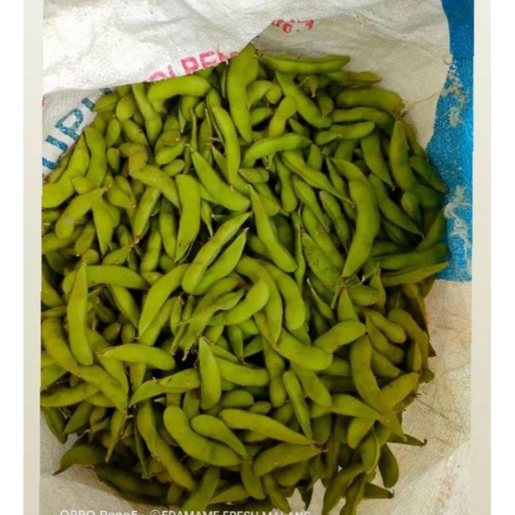 

Edamame Fresh