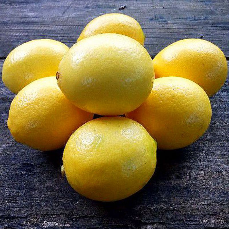 

JERUK LEMON CALIFORNIA/ LEMON LOKAL 1KG/ KUALITAS SUPER