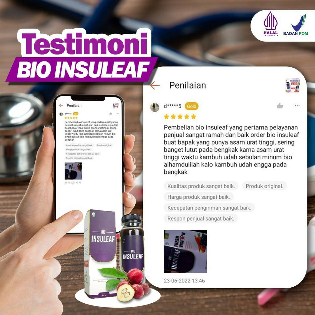 Paket Cegah Diabetes 2 Botol Bio Insuleaf – Herbal Alami Cegah Diabetes Bantu Turunkan Gula Darah Cegah Kencing Manis Asam Urat &amp; Kolesterol BPOM Herbal Anti Diabetes Bantu Kuatkan Daya Tahan Tubuh