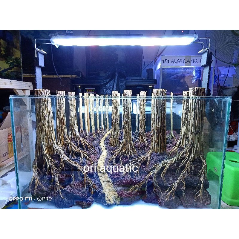 

hardscape