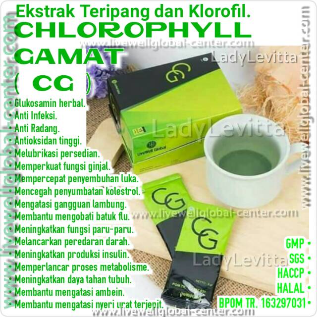 Glukosamin Chlorophyll GAMAT Teripang Bubuk Manis