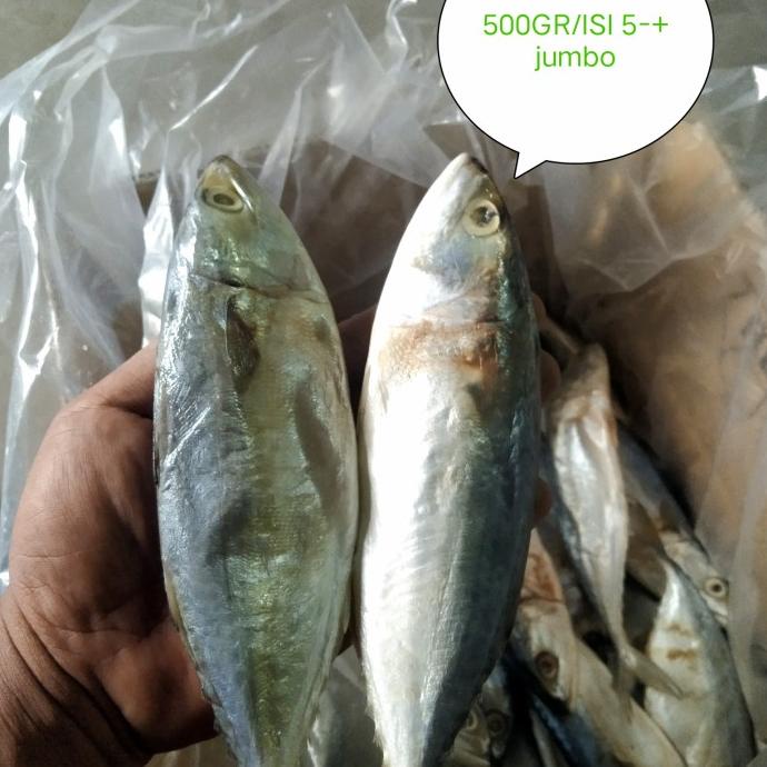 

[COD] Ikan asin peda putih 500gr/ikan asin peda [COD]