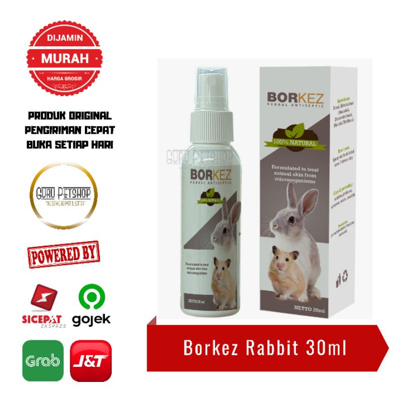 Borkez Antiseptic Spray 30ml Anjing Kucing Kelinci Obat Spray Scabies Jamur