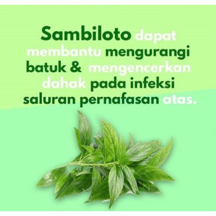 Guranatur Gurah Alami Herbal Pereda Batuk, Sinus dan Peluruh Dahak