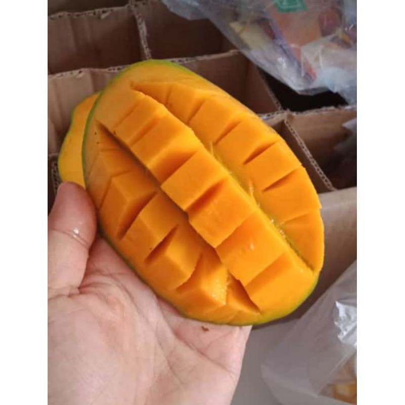 

MANGGA HARUM MANIS 1 KG