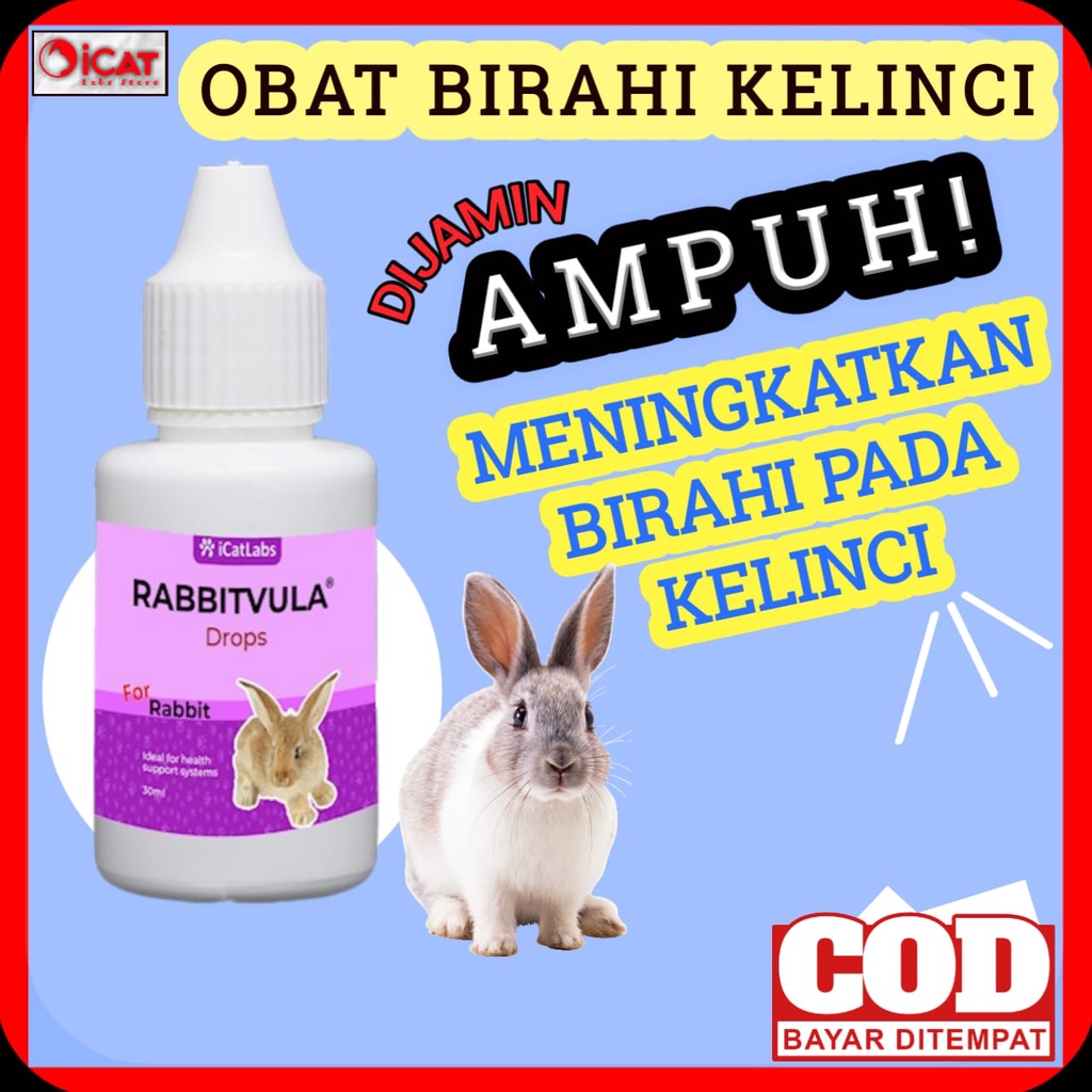 VITAMIN BIRAHI KELINCI VITAMIN PENGGEMUK KELINCI VITAMIN BULU KELINCI OBAT BIRAHI KELINCI PENYUBUR..