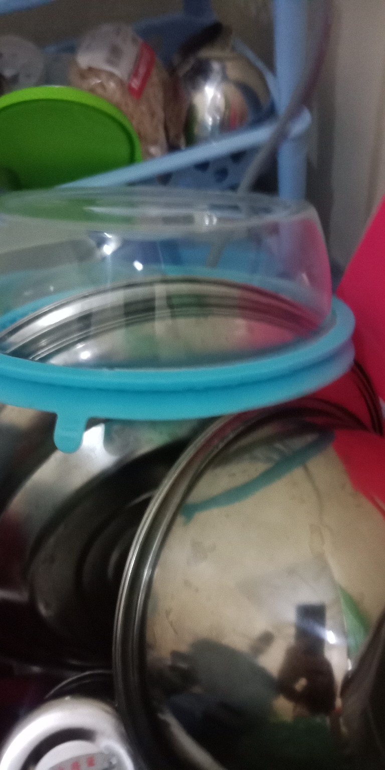 Ws682 Alat Pencetak Pangsit / Dumpling Pastel Mold