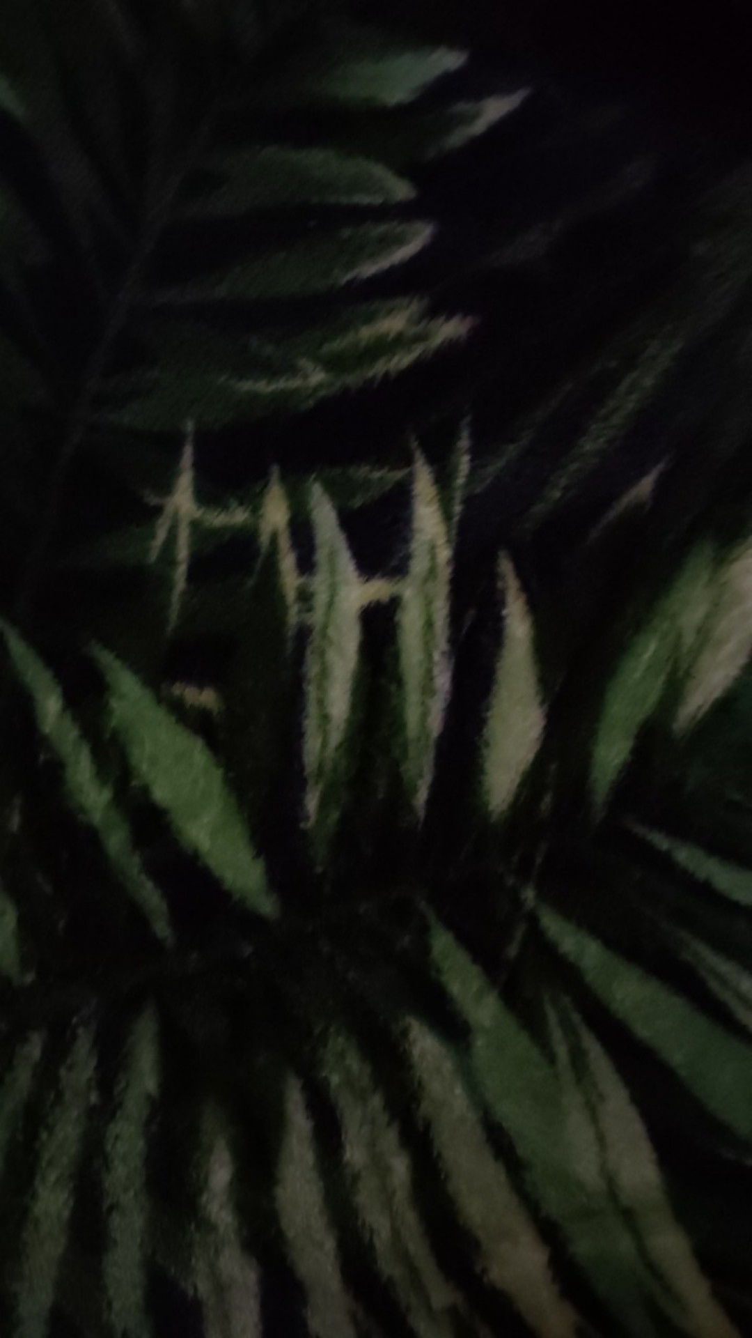 Sarung Batik Anak Remaja Ada 6 Motif | Sarung Anak | Sarung Ibadah