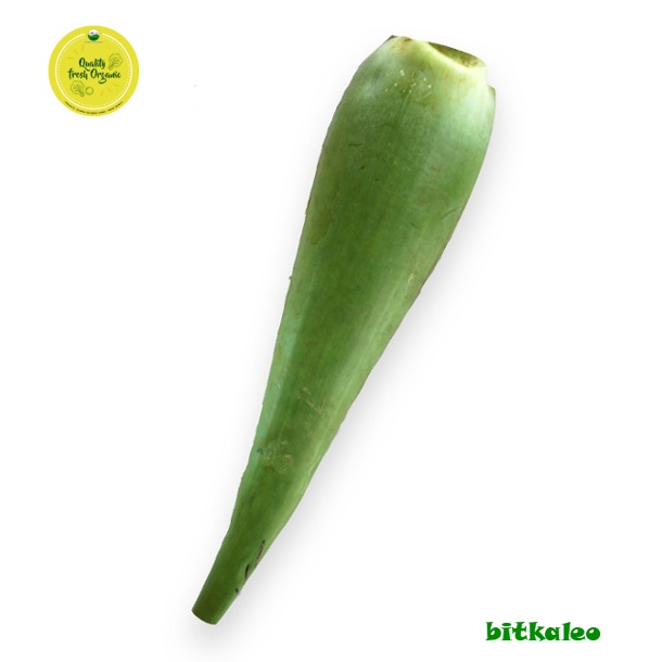 

Lidah Buaya Organik 500 gr (PO)
