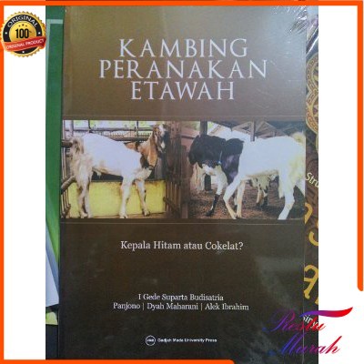 Kambing Peranakan Etawah