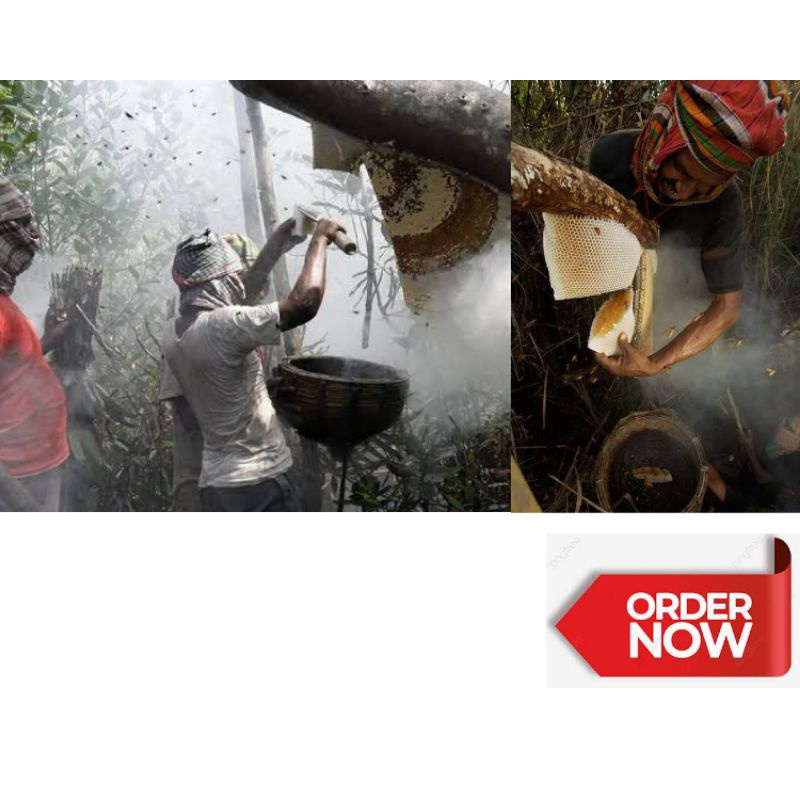 

QH Madu Murni Asli Grade A Variant Nektar 100% Alami Pure Natural - Mall - Shopeemall - 0Madu Murni