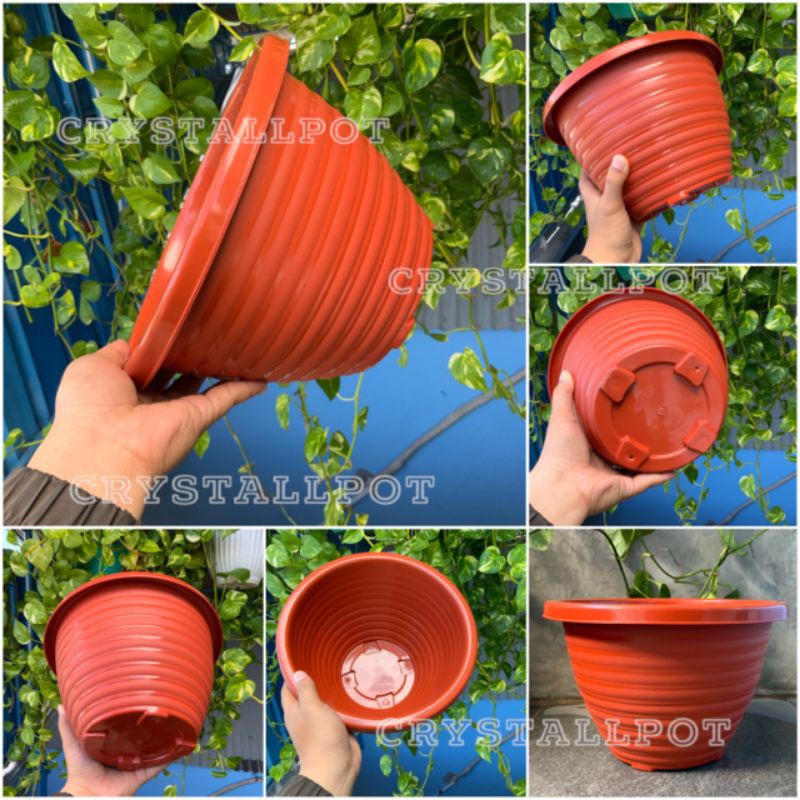 Pot bunga tanaman tawon merah bata kuping 33cm - BEE 336