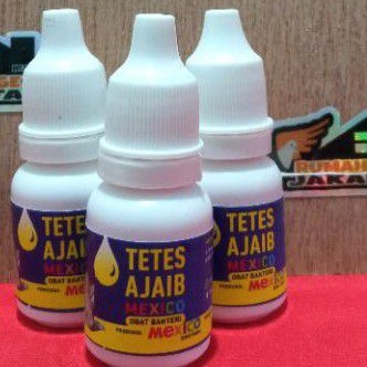 obat tetes ajaib burung merpati dara sakit lesu pilek ngorok berak hijau air mexico