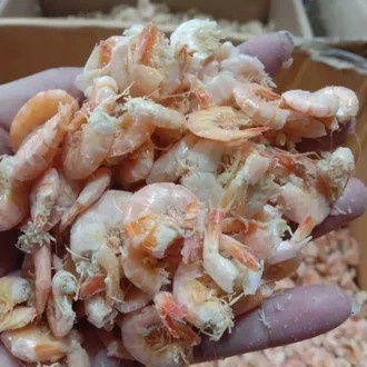 

ikan udang manis medan(500grm)