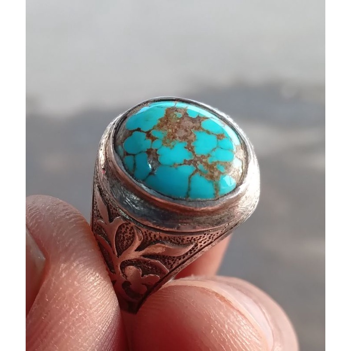 pirus persia mini biru ceplok