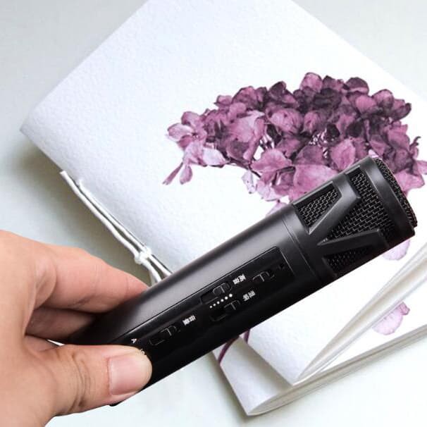 LARIS Mikrofon Recording with Sound Card - F8