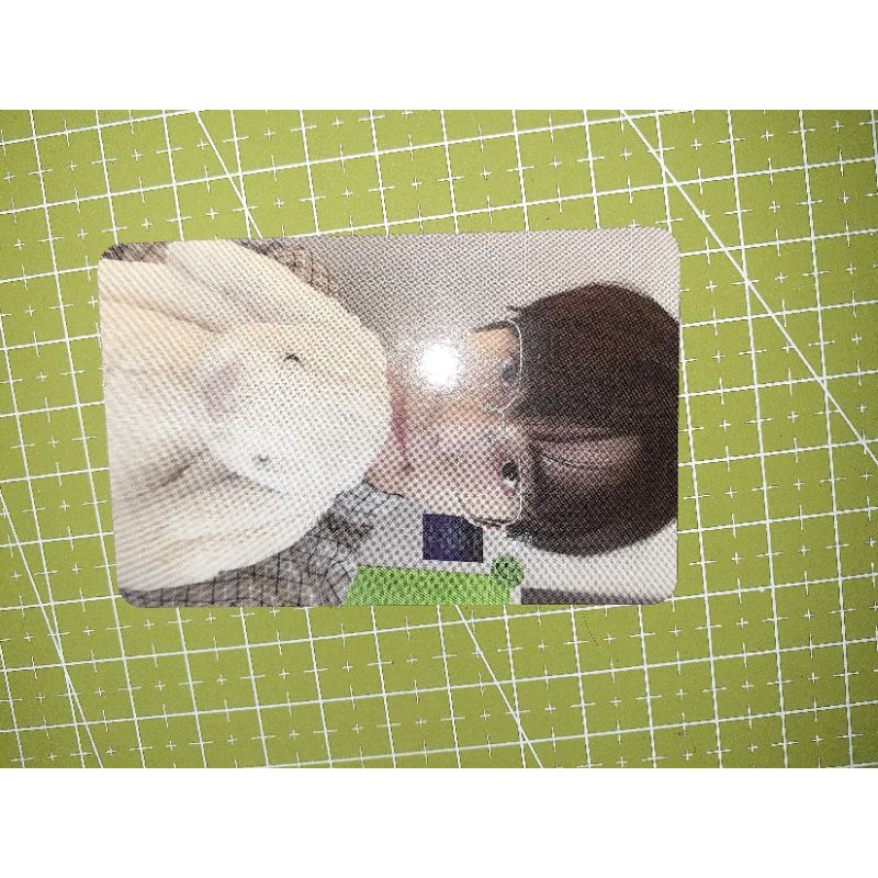 booked pc doyoung boneka sticker bunny