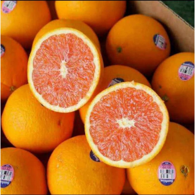 jeruk sunkist cara cara