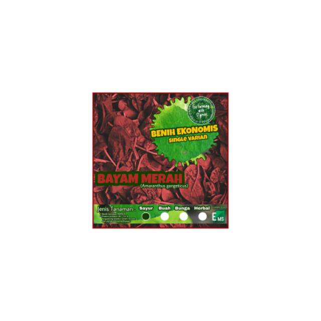 Benih Ekonomis Bayam Merah